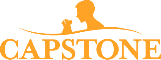 Capstone-logo - Christian Counselors of Mooresville